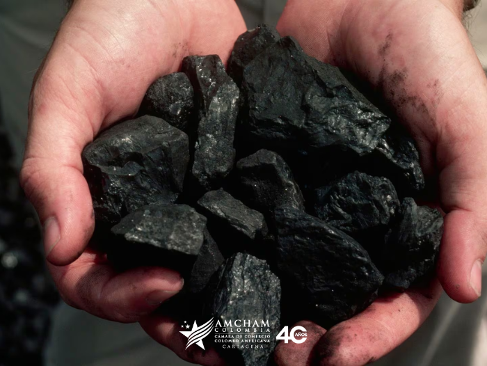 Colombia se encuentra entre los principales países exportadores de carbón térmico