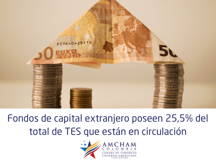 Fondos de capital extranjero poseen 25,5% del total de TES que están en circulación