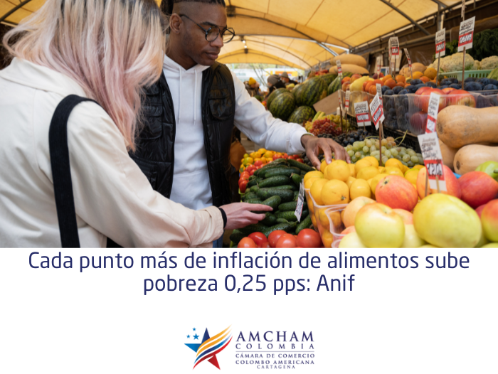 Cada punto más de inflación de alimentos sube pobreza 0,25 pps: Anif