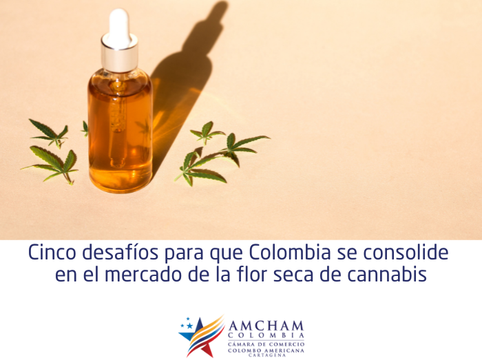 Cinco desafíos para que Colombia se consolide en el mercado de la flor seca de cannabis