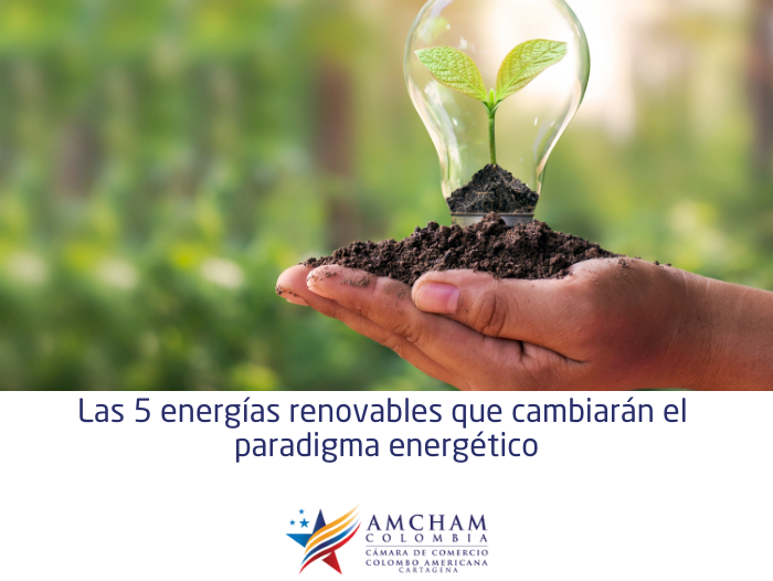 Las 5 energías renovables que cambiarán el paradigma energético