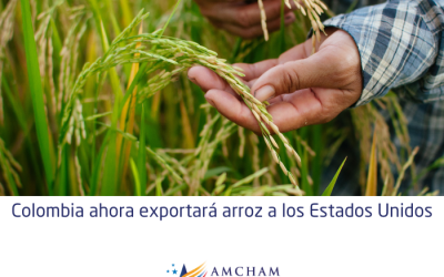 Colombia ahora exportará arroz a los Estados Unidos