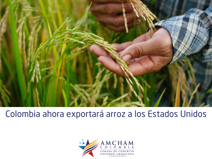 Colombia ahora exportará arroz a los Estados Unidos