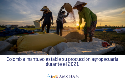 Colombia mantuvo estable su producción agropecuaria durante el 2021