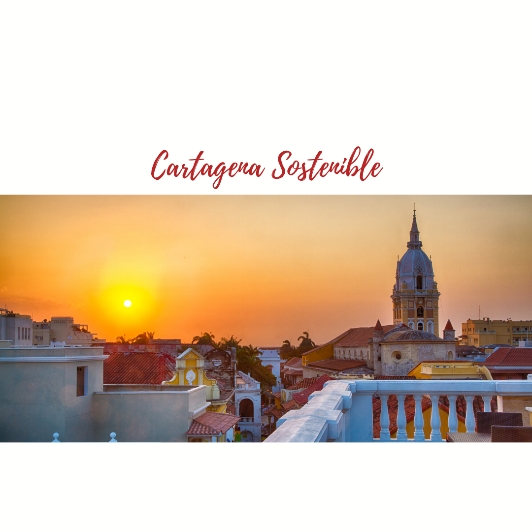 Cartagena ¿Cómo reactivarla para que sea sostenible?